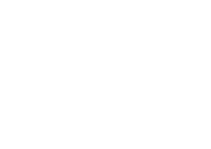 Hotel Astor